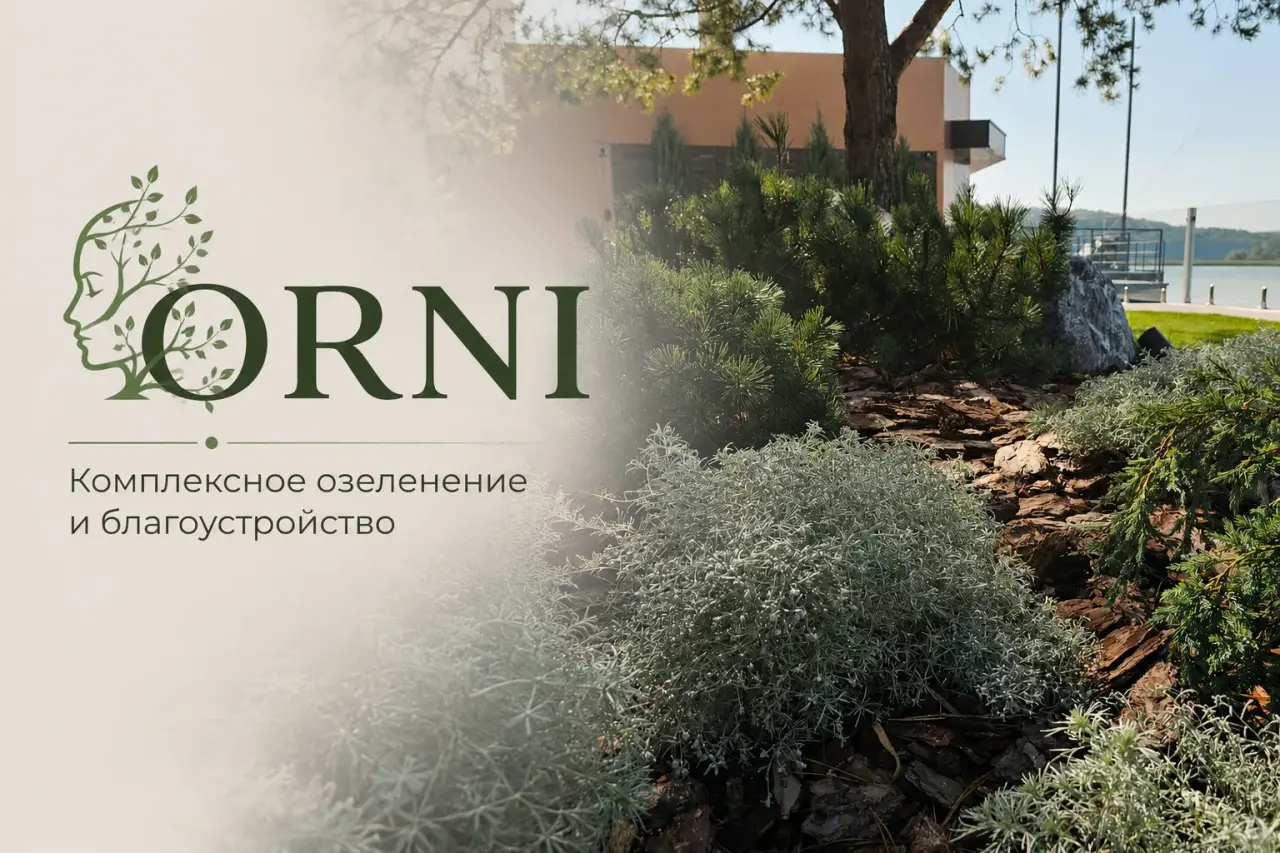 Работы компании ОРНИ
